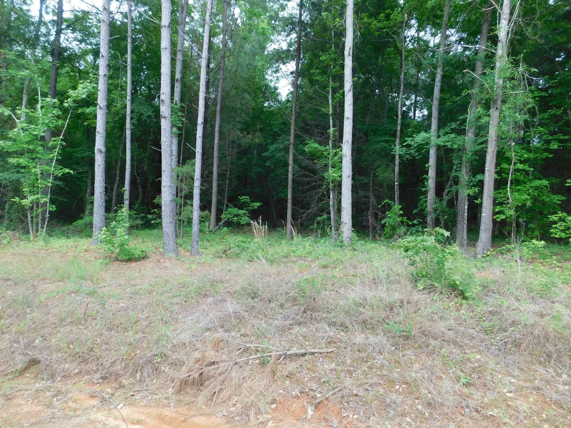 0.67 acres in Texas County