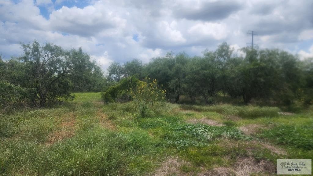 3.93 acres in CAMERON County