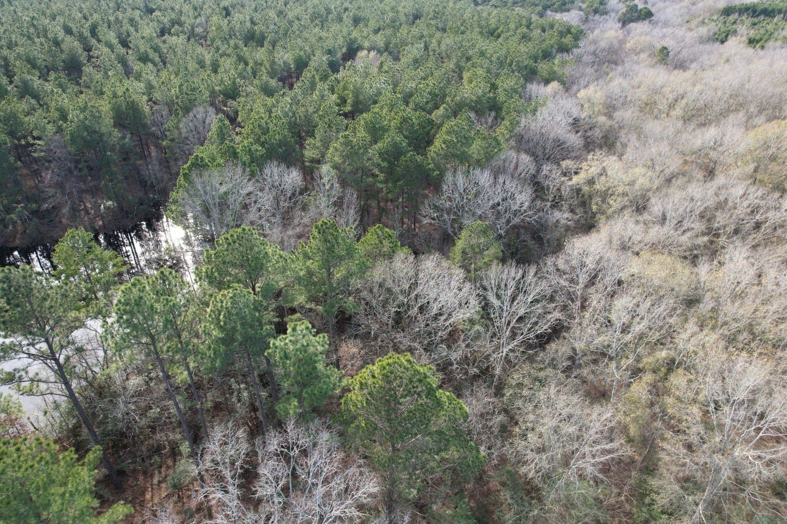 16 acres in Shelby County