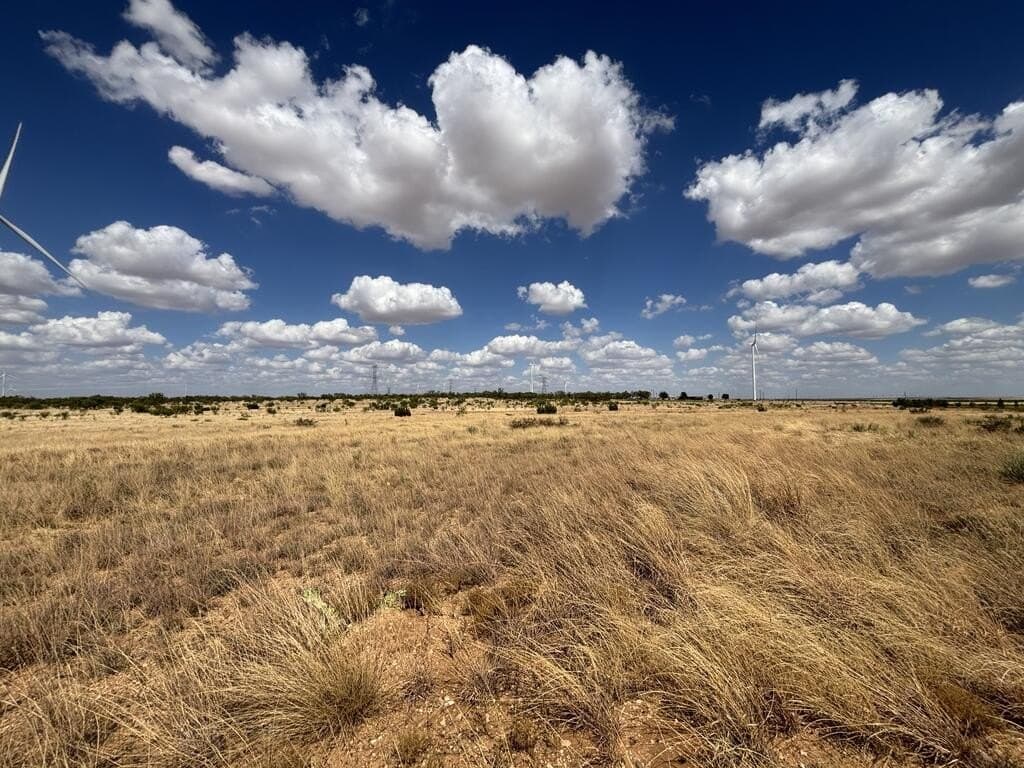 48.9 acres in Scurry County