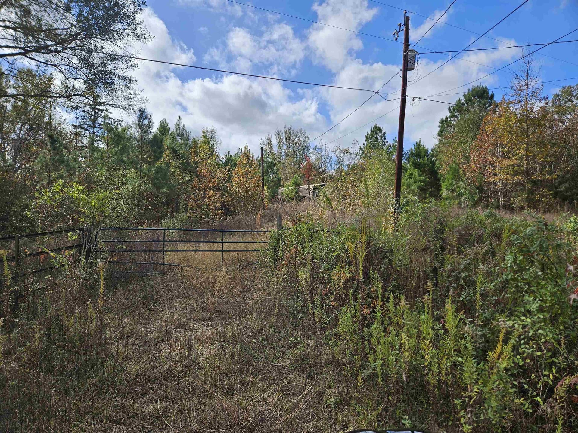 27.79 acres in Smith County