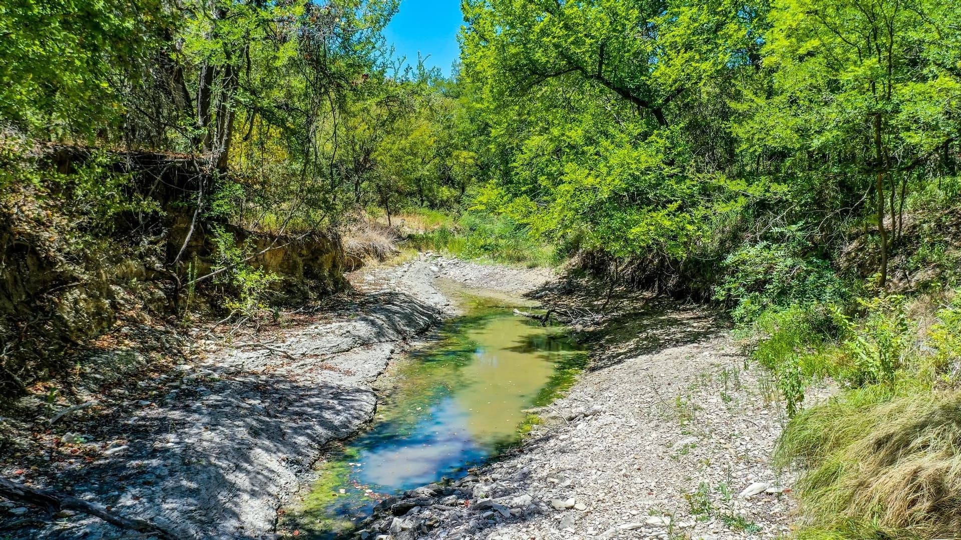 8.79 acres in Erath County