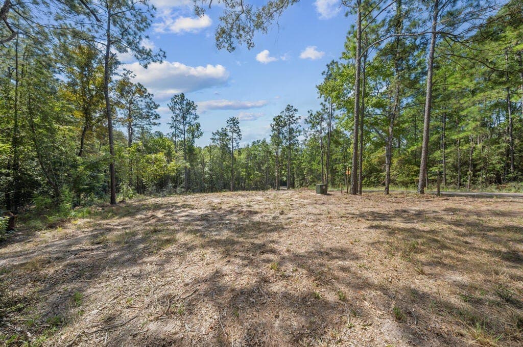 0.29 acres in Texas County