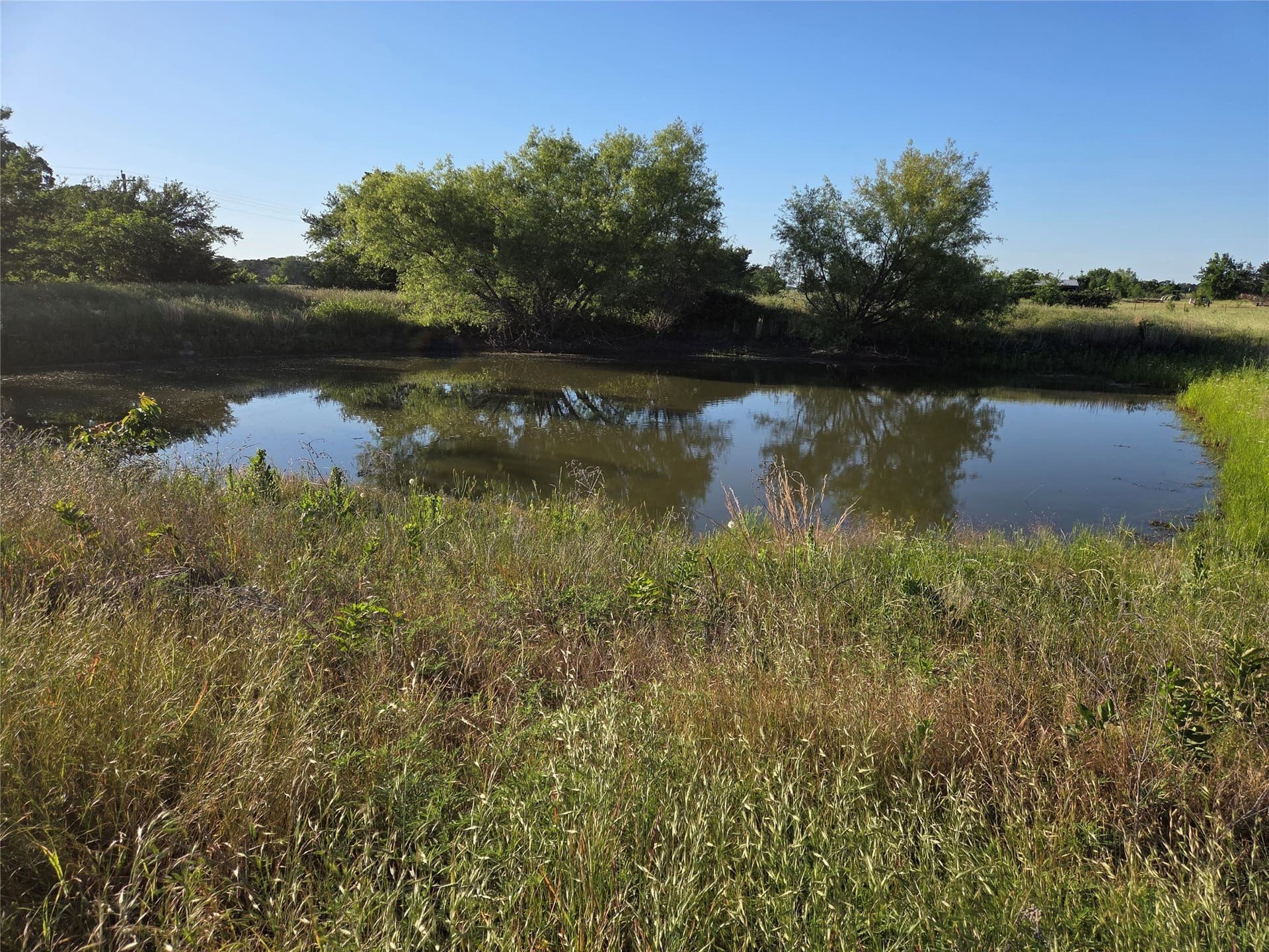 27 acres in Fannin County