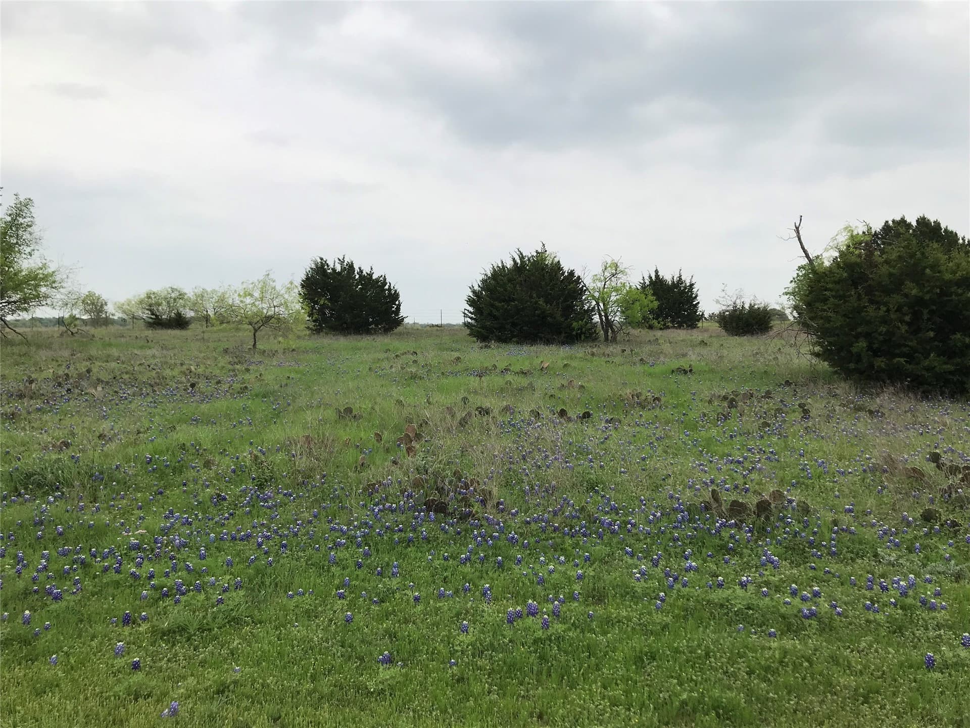 0.26 acres in Hill County
