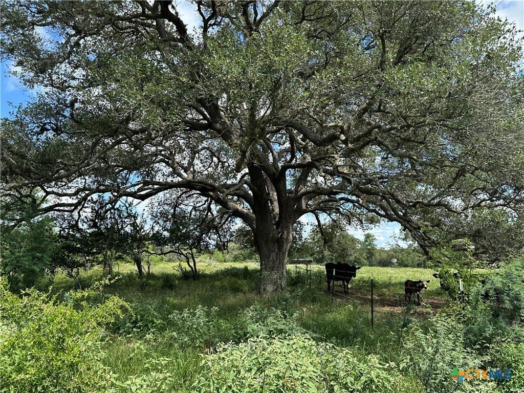 23.71 acres in Victoria County
