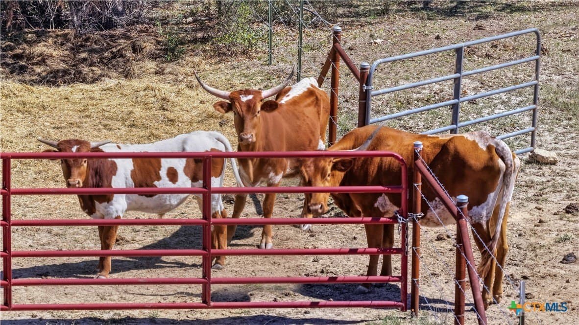 10.02 acres in Comal County