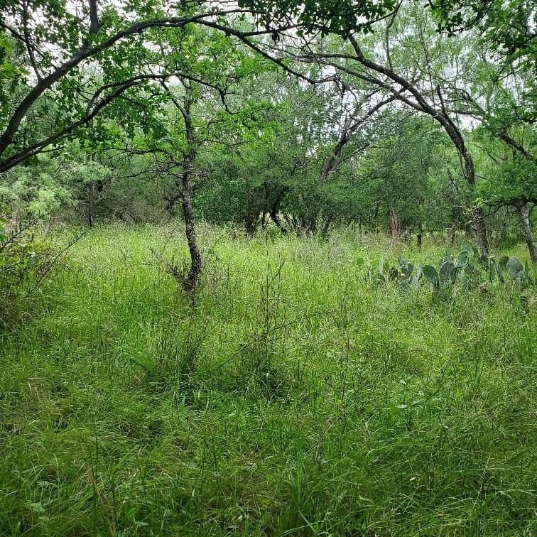 0.23 acres in Burnet County