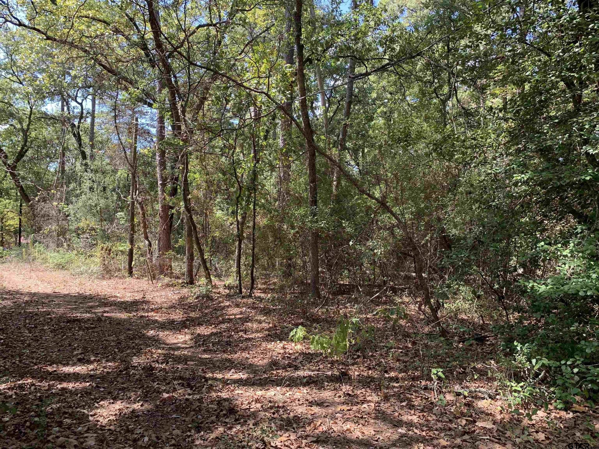 2.4 acres in Wood County