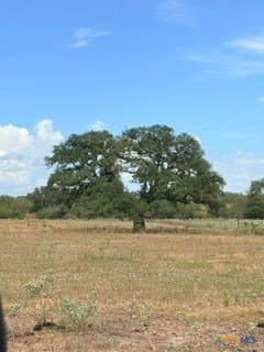 40 acres in DeWitt County