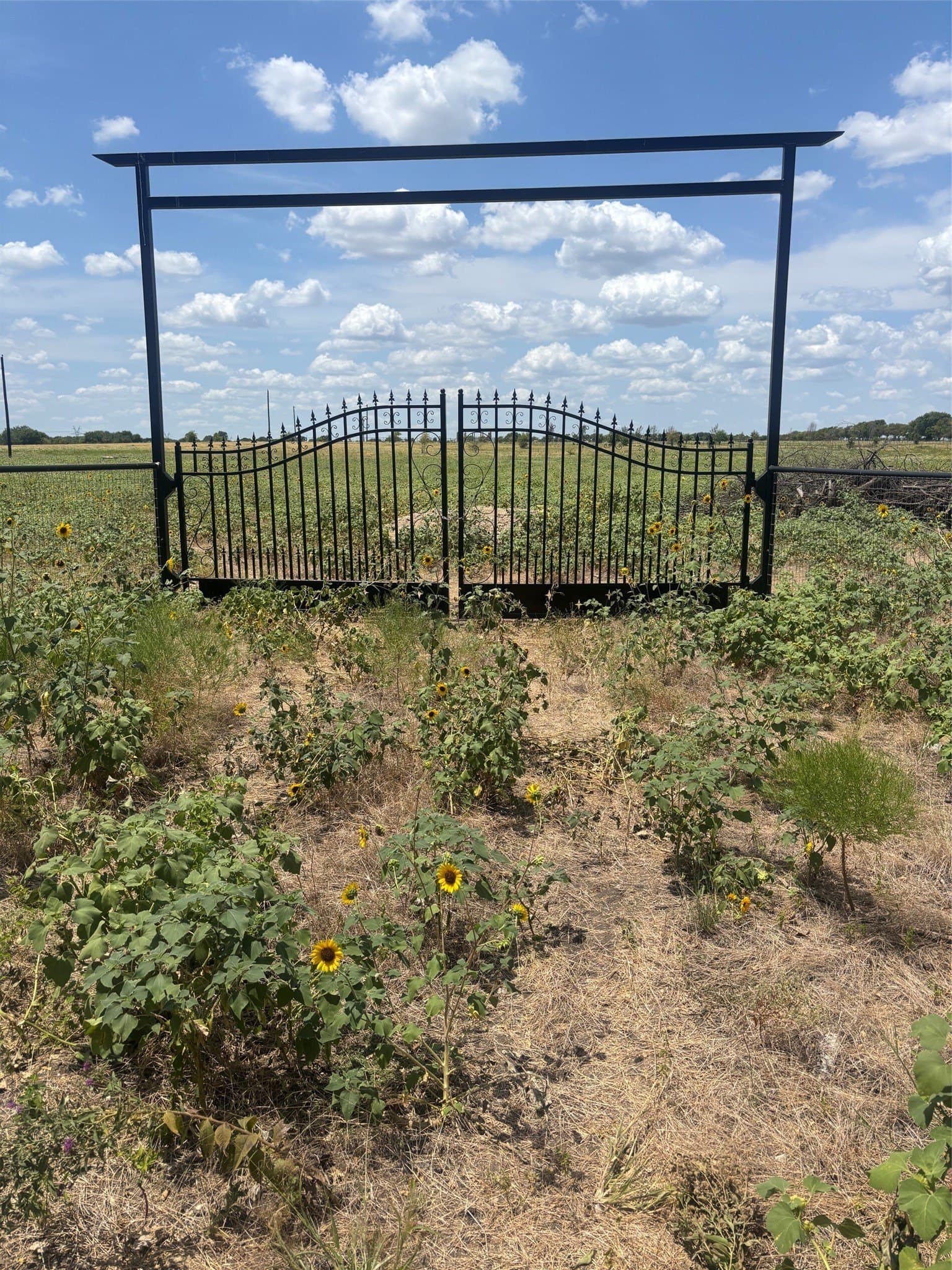 10.1 acres in Denton County