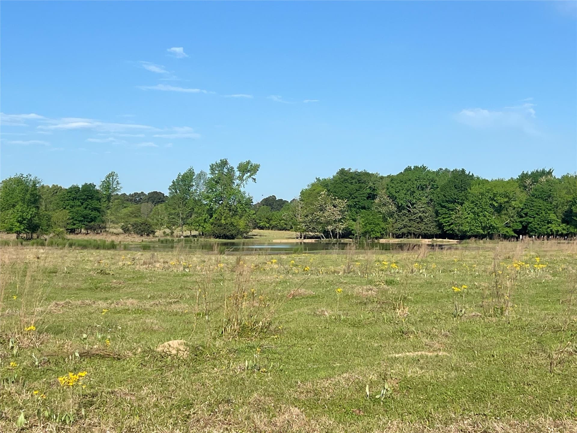 16.5 acres in Titus County