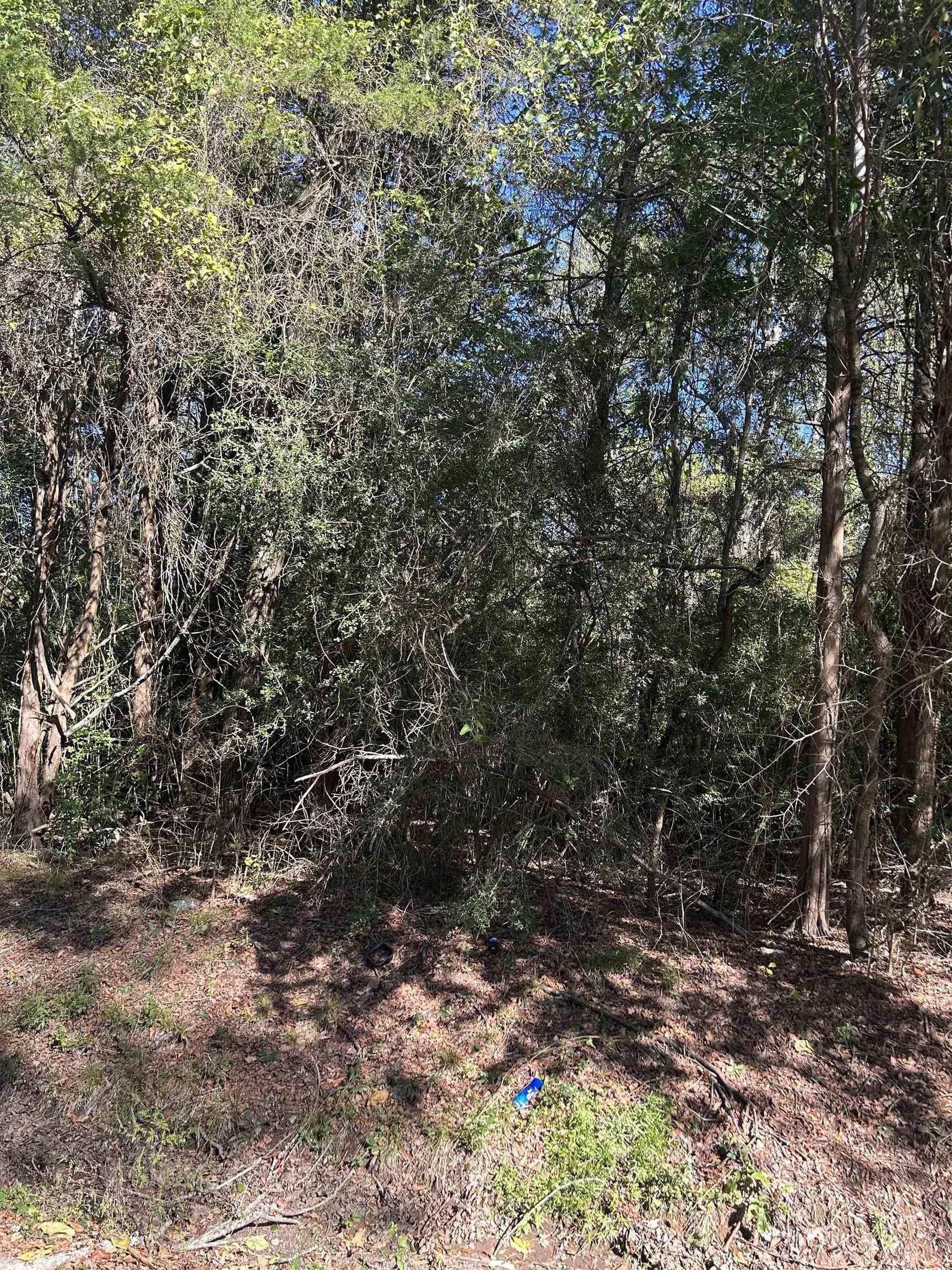 3.1 acres in Texas County