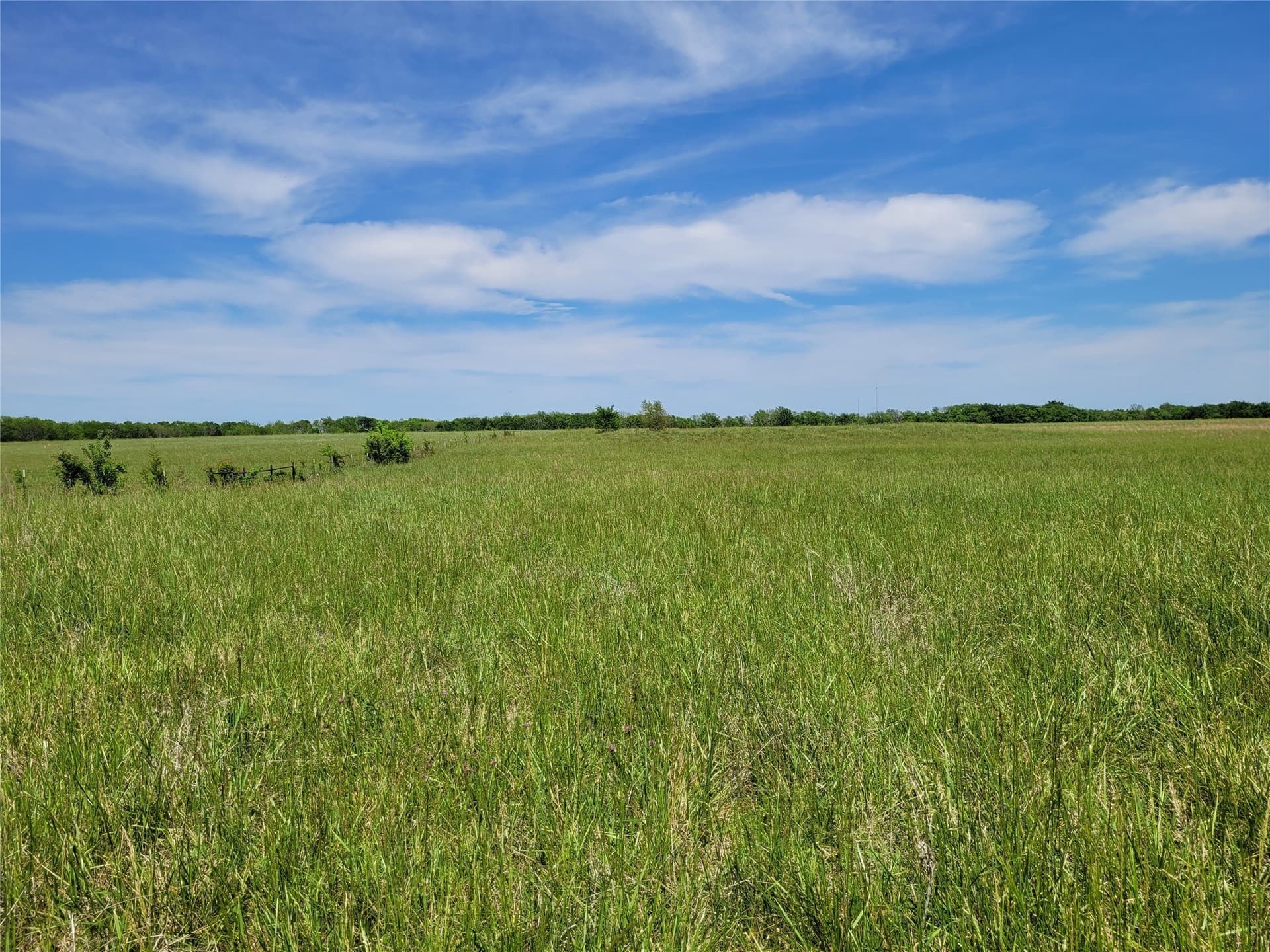30 acres in Red River (TX) County