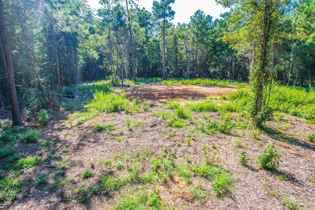 1.93 acres in Texas County