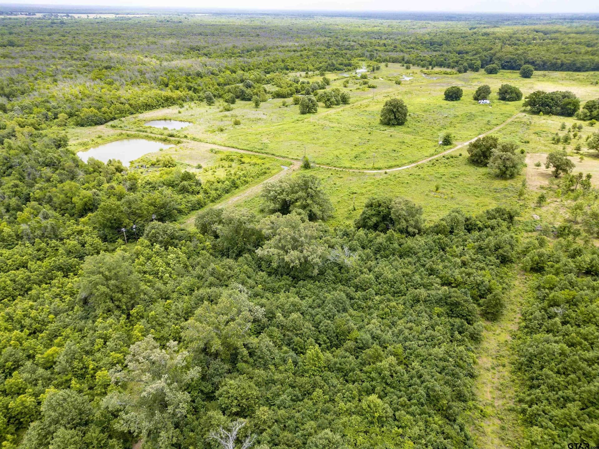 32 acres in Titus County