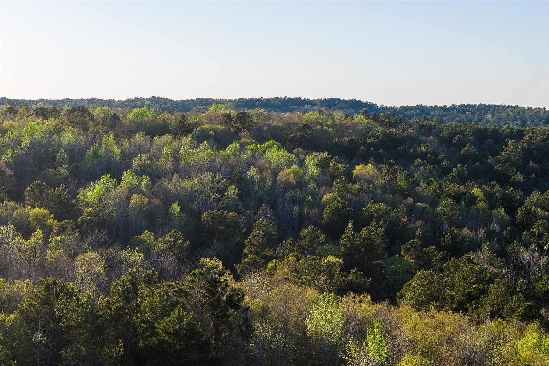 300.71 acres in Cherokee County