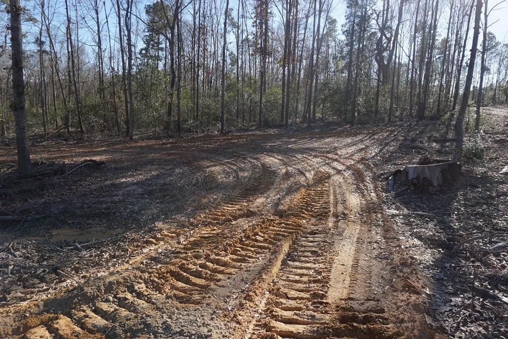 16.92 acres in LEON County