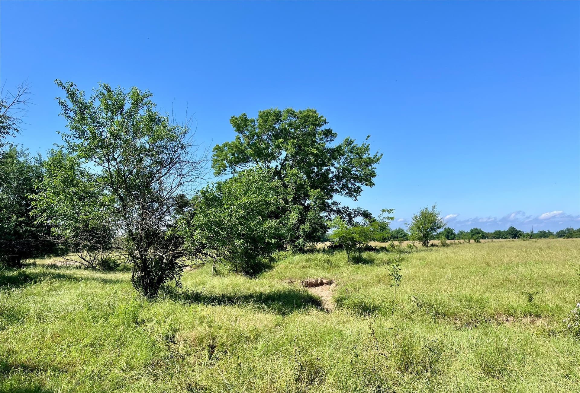 200 acres in Franklin (TX) County