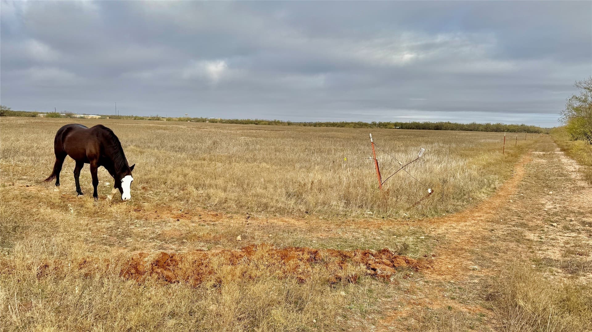 19.96 acres in Taylor County