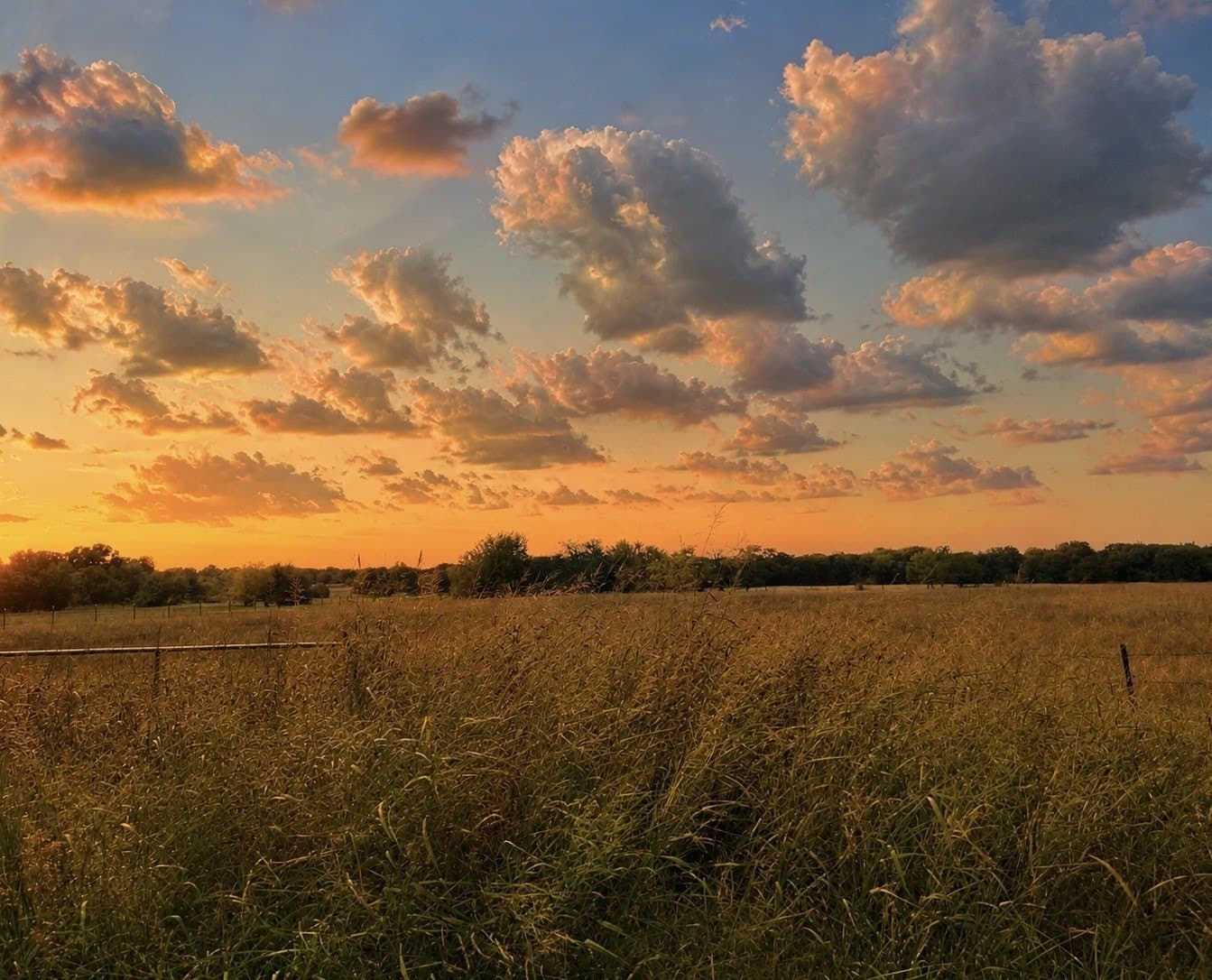 11 acres in Hopkins County