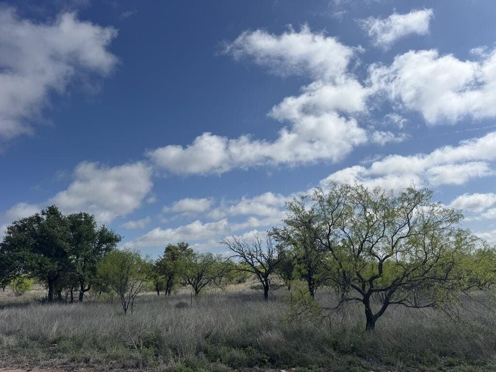 16.53 acres in Menard County