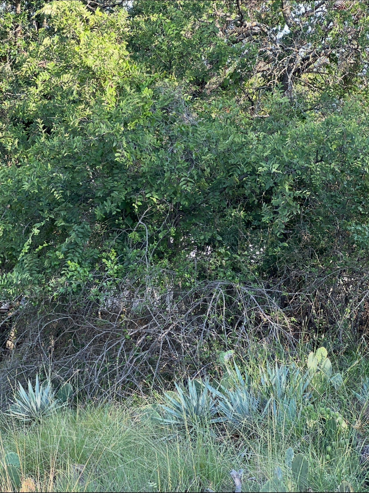 0.05 acres in Brown County