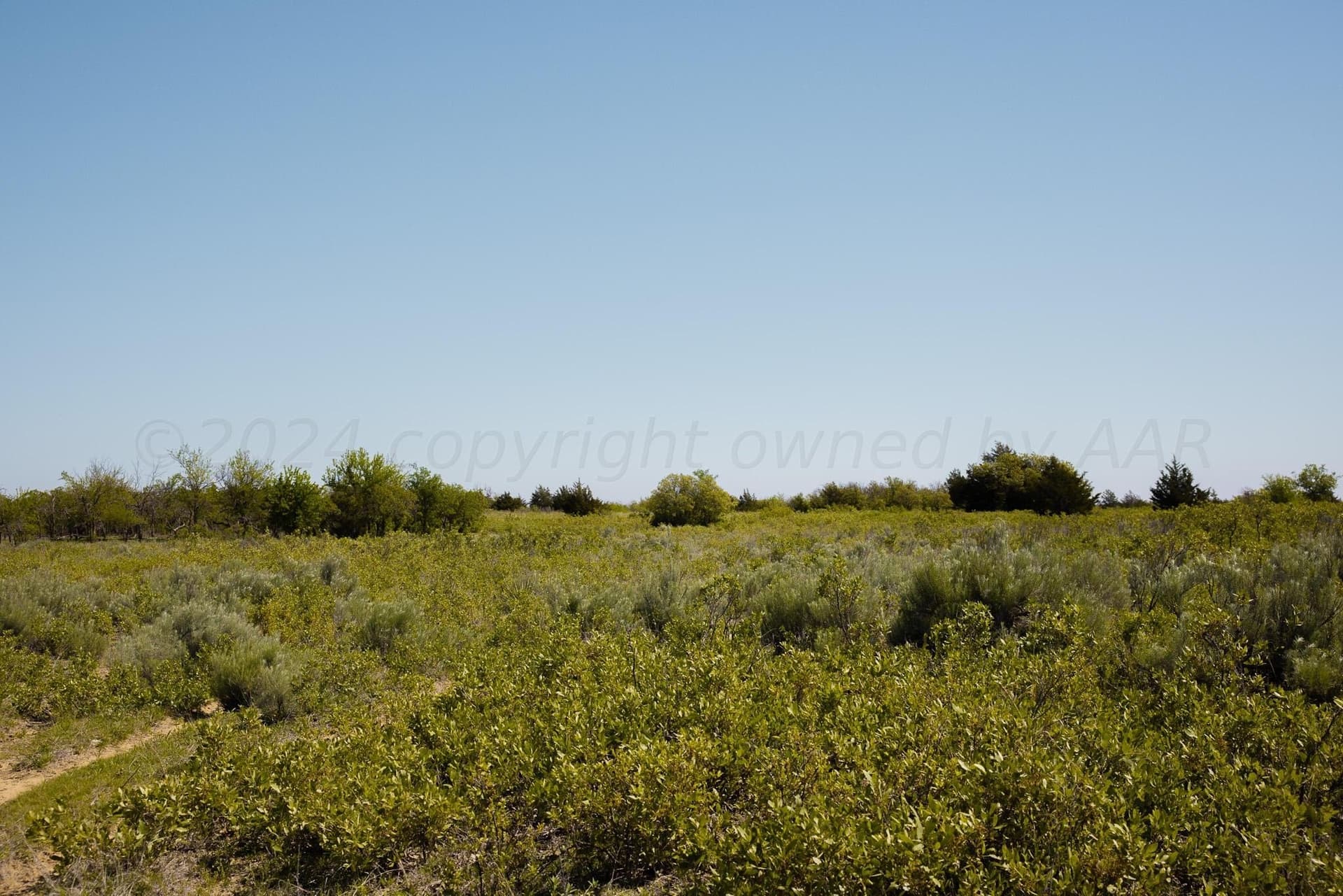 319.61 acres in Wheeler County
