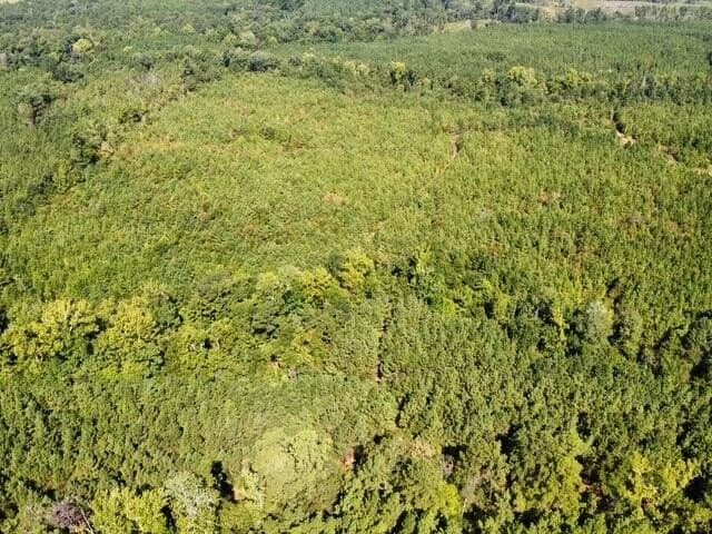 48 acres in Texas County