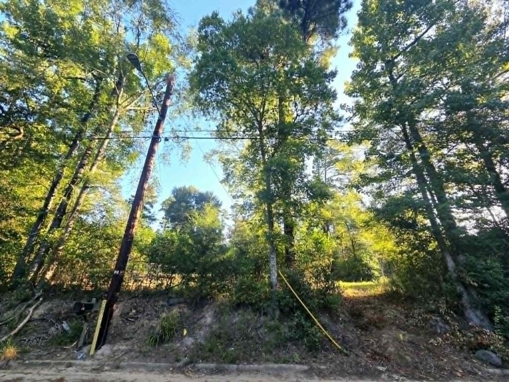 1.69 acres in Texas County