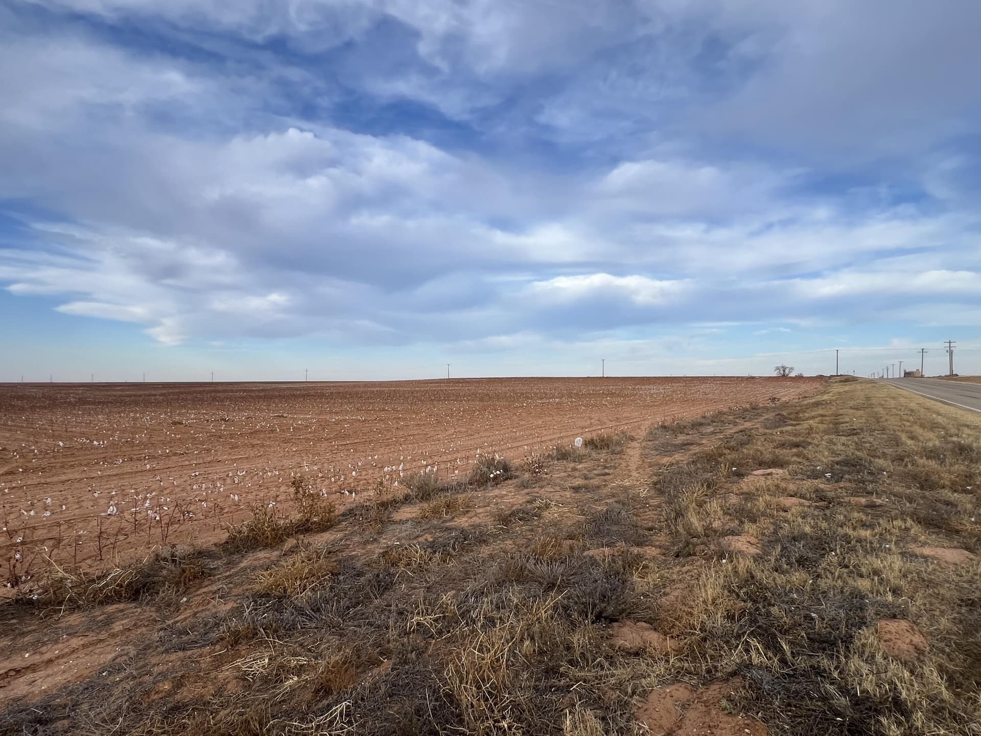 80 acres in Dawson County