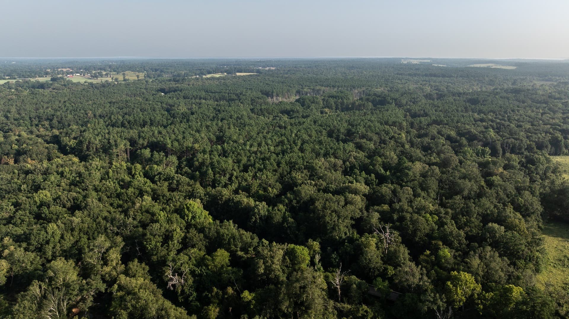 327.55 acres in Rusk County