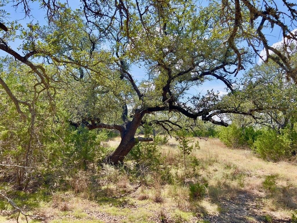 23.55 acres in Blanco County