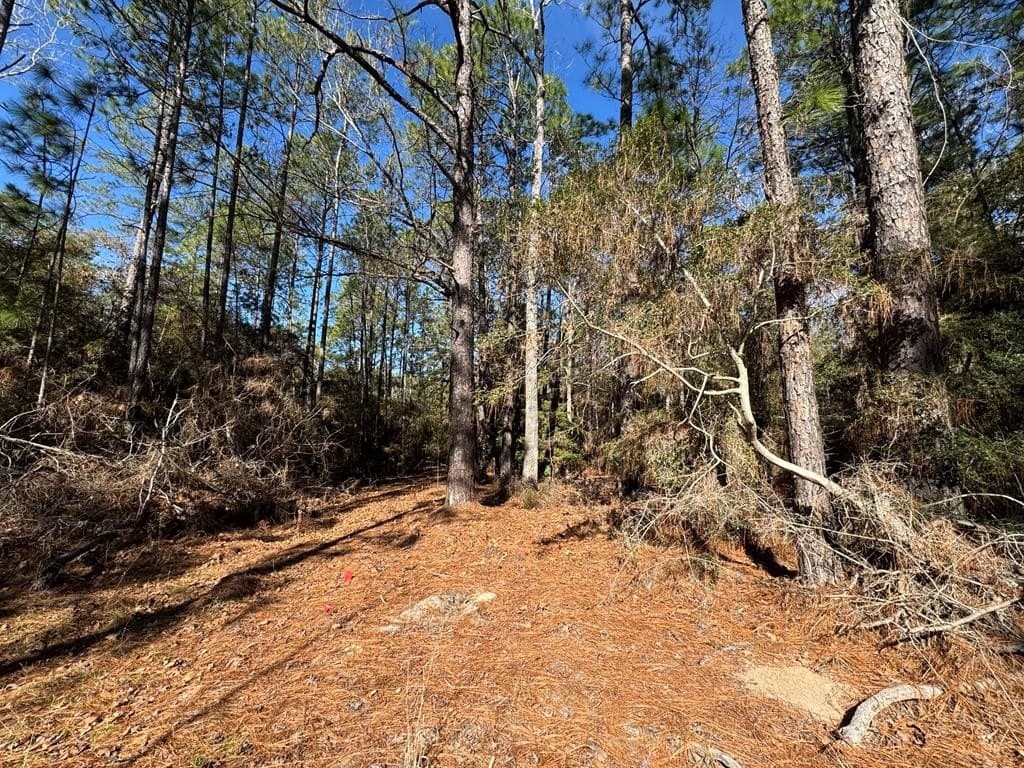 0.2 acres in Texas County