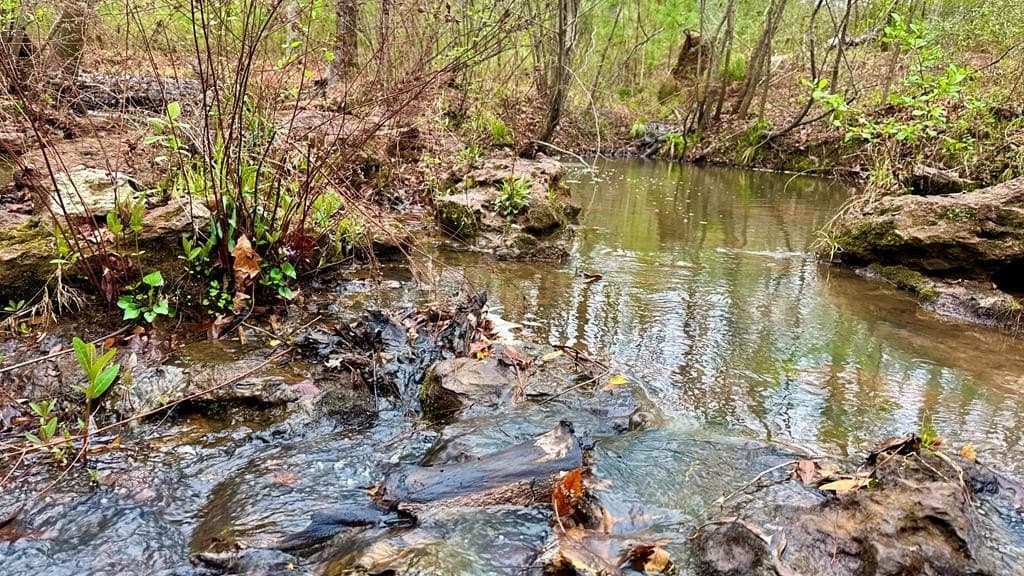14.79 acres in Texas County