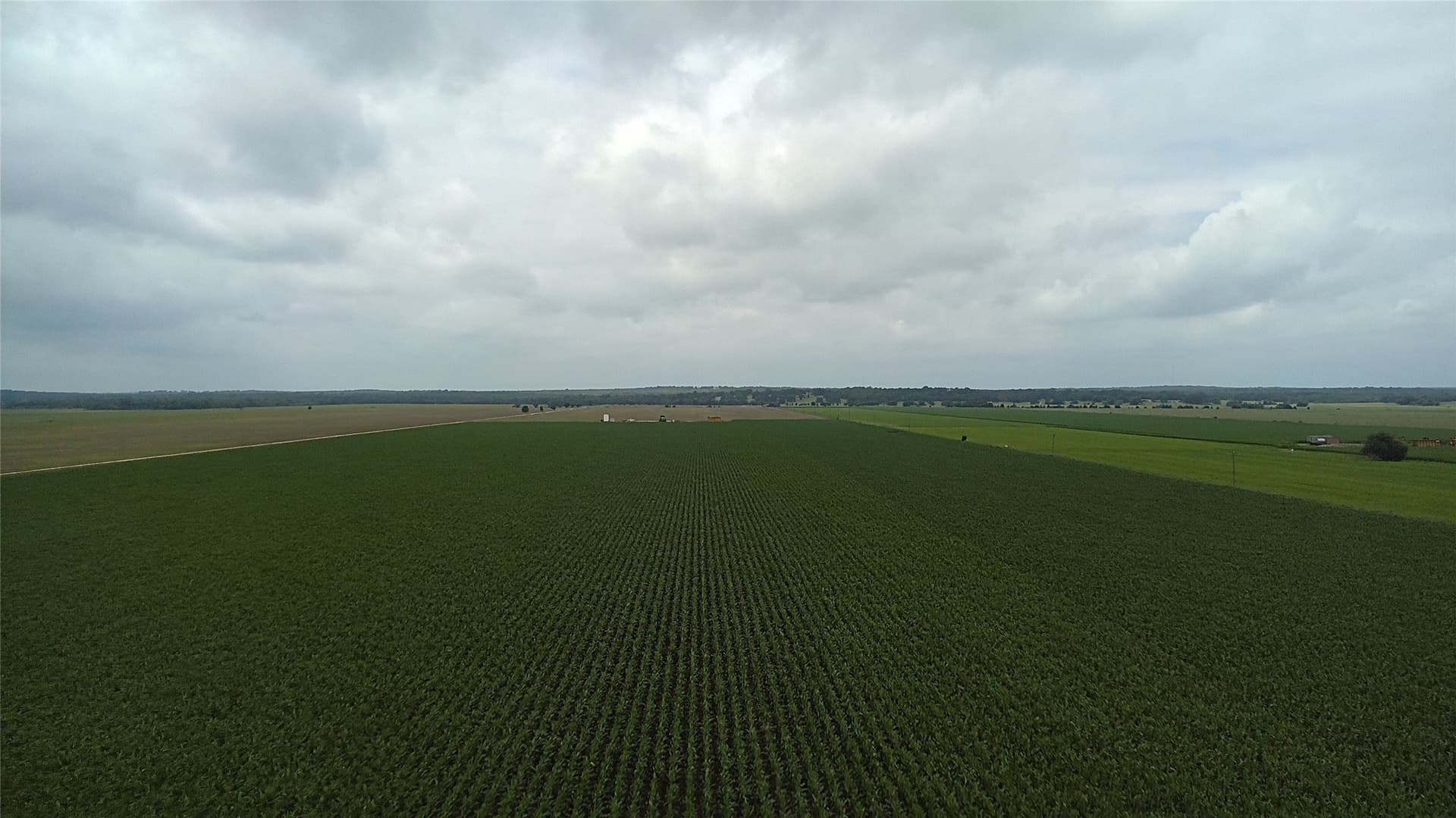 203 acres in Burleson County