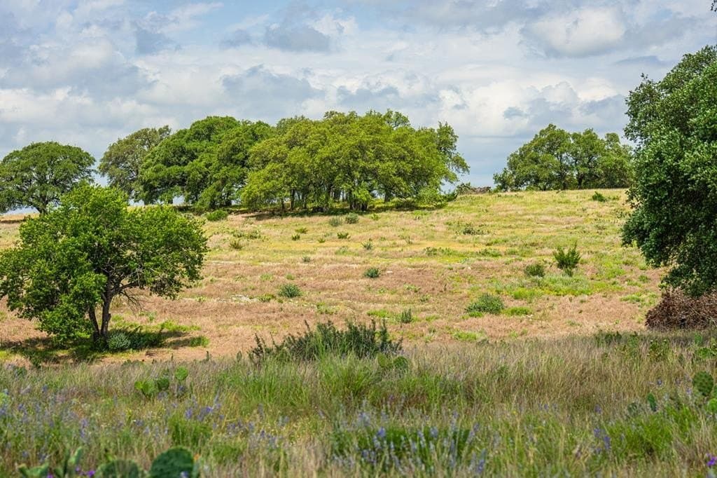 3.16 acres in Gillespie County