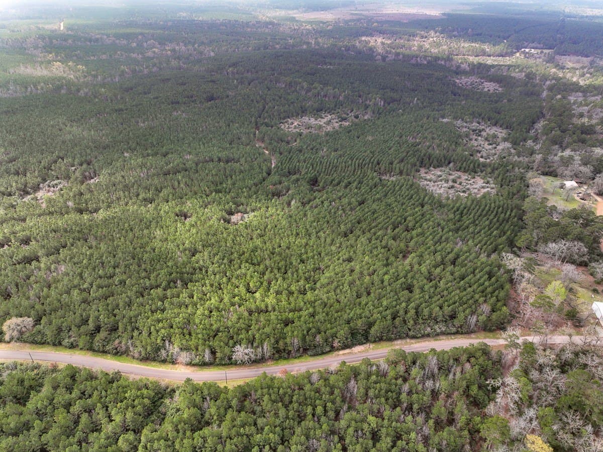 40 acres in Houston County