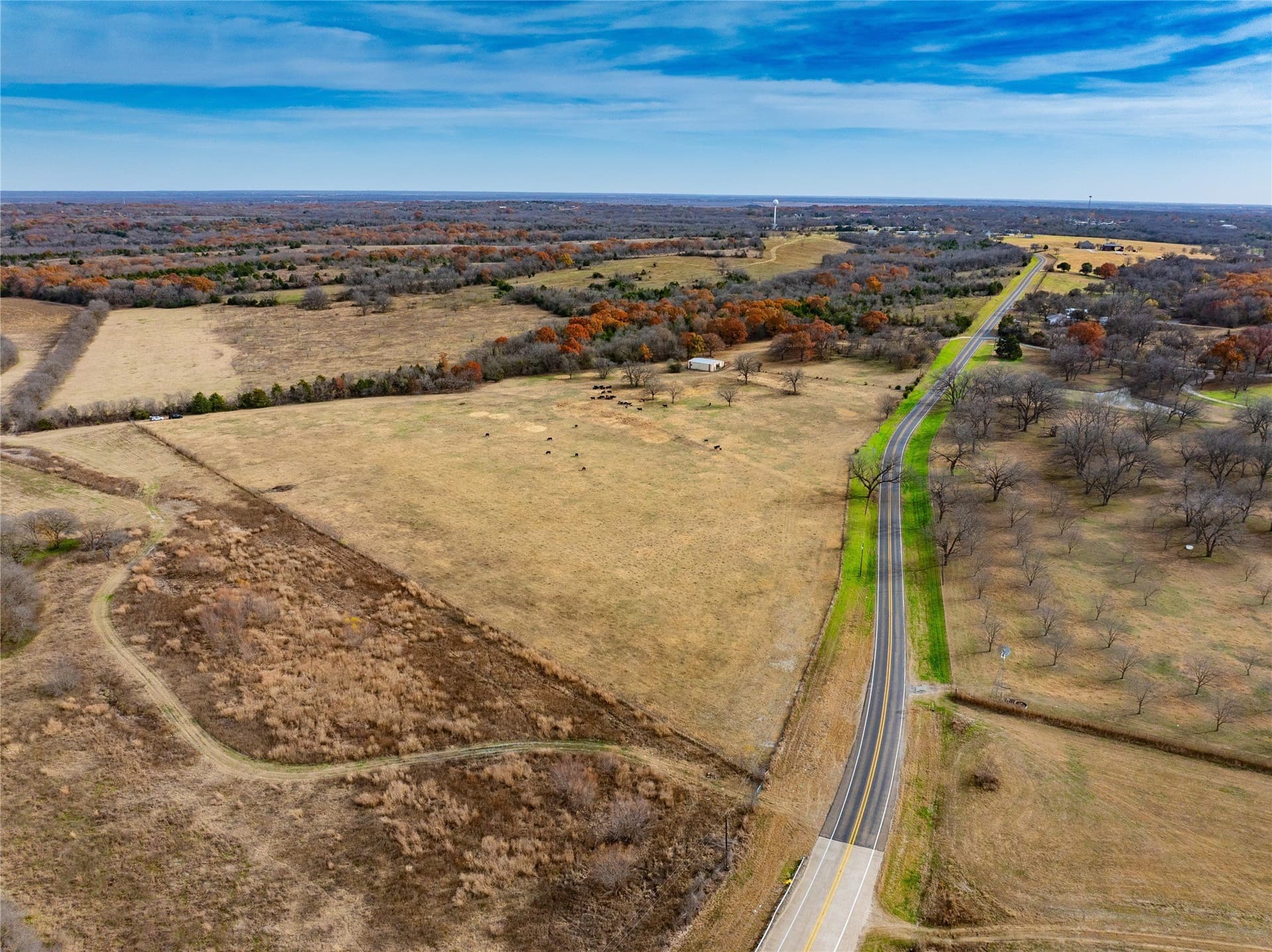 144 acres in Ellis County