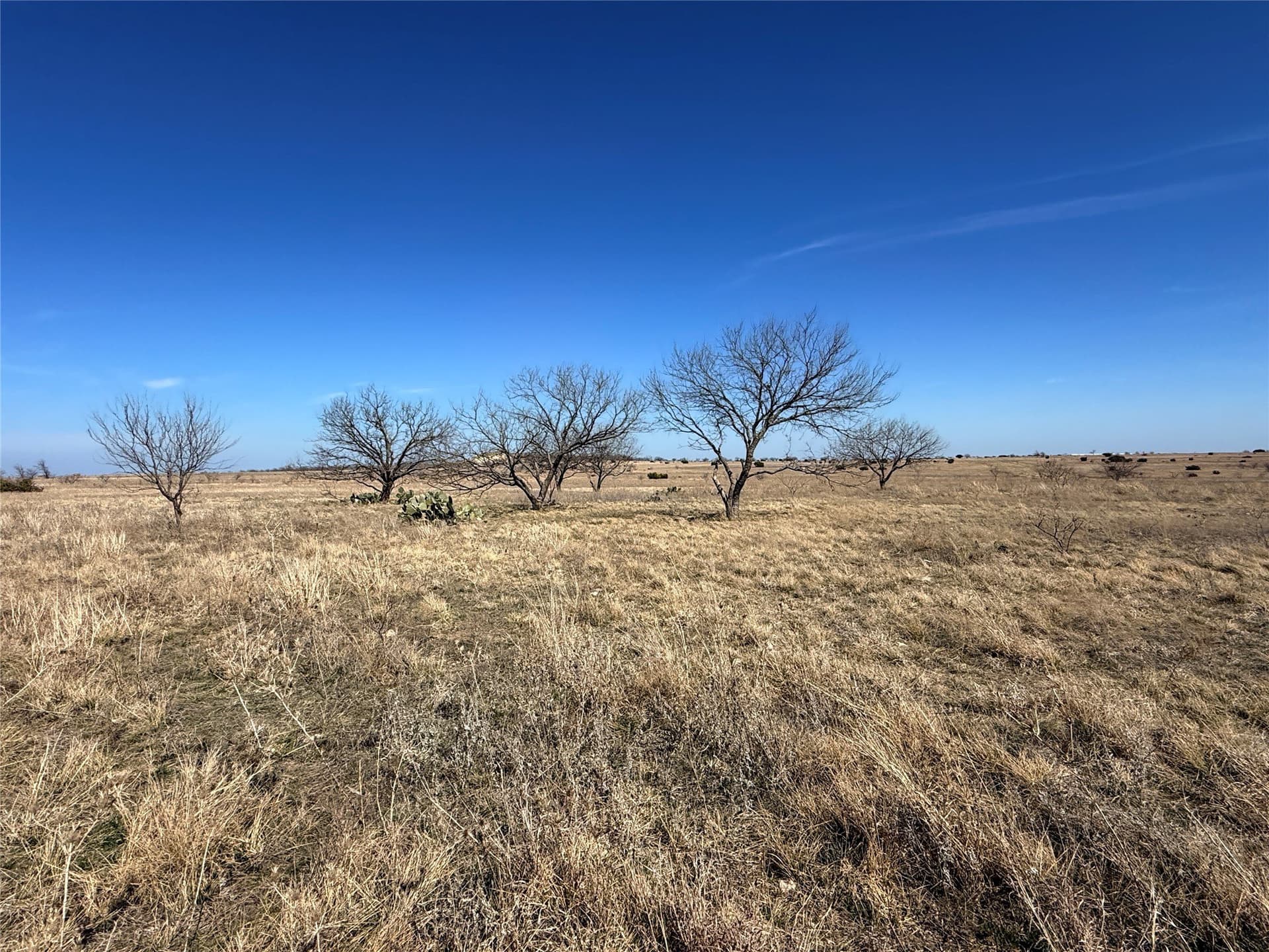 19 acres in Hamilton County