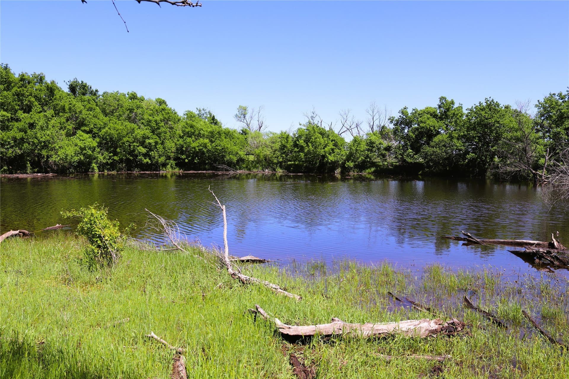 40 acres in Clay County