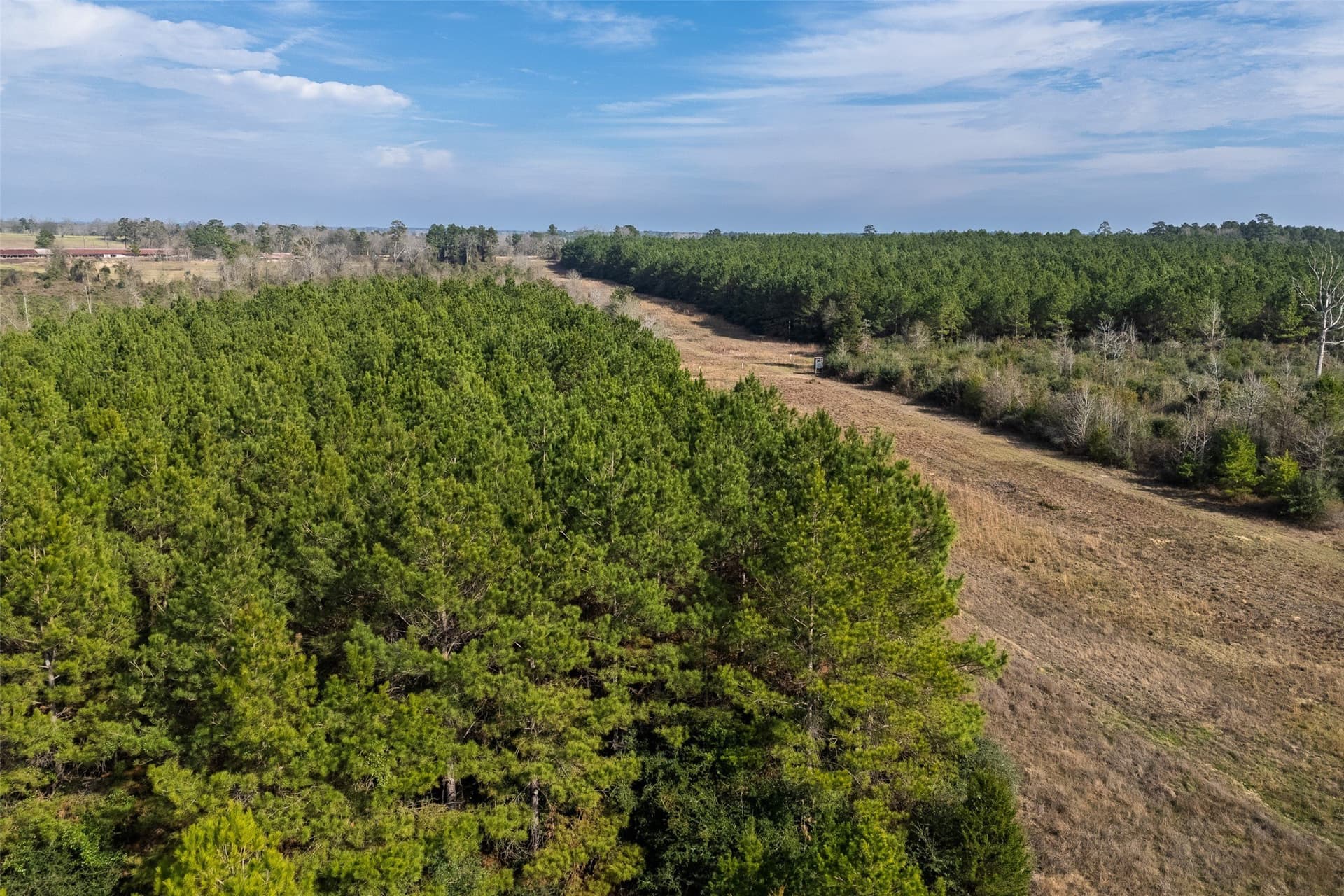 86.5 acres in Shelby County