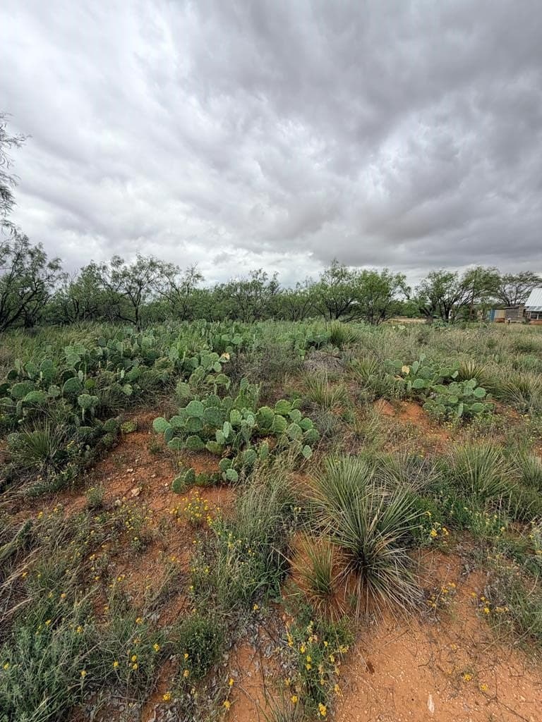 0.96 acres in Mitchell County