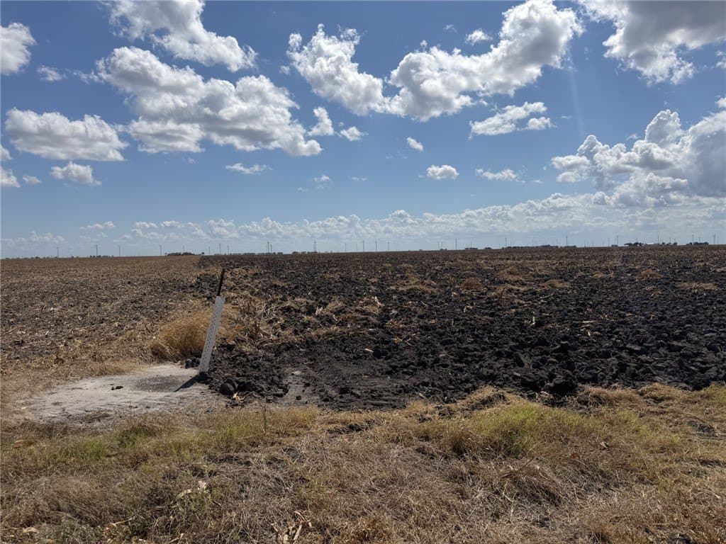 202.61 acres in San Patricio County