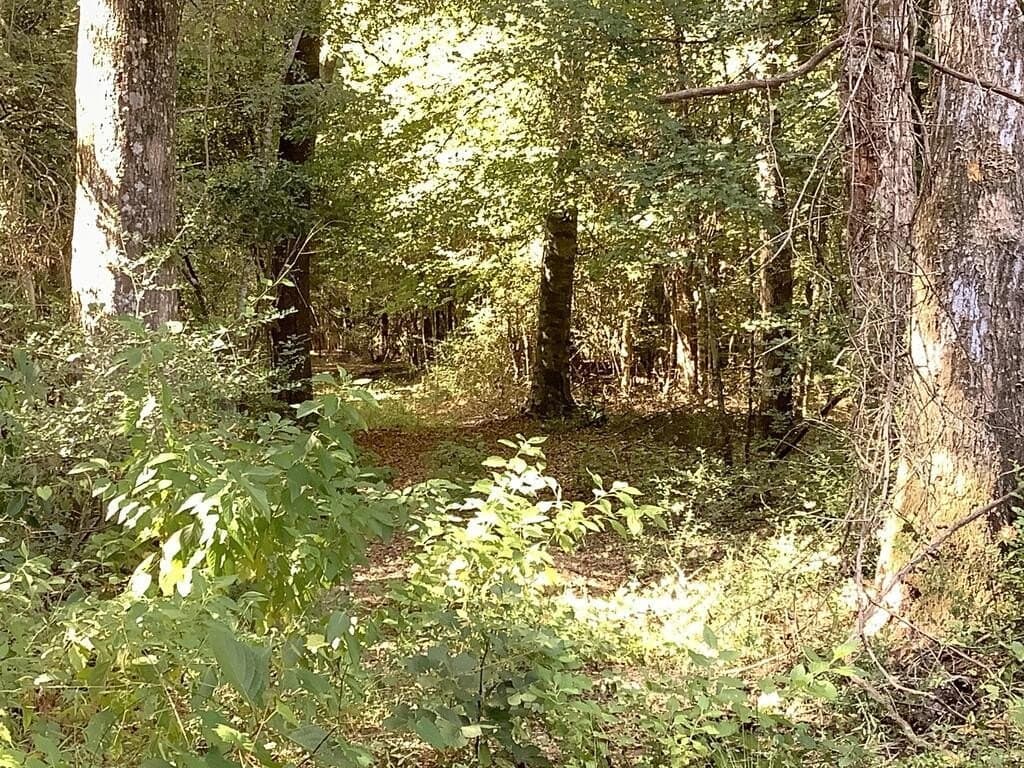 28.59 acres in Texas County