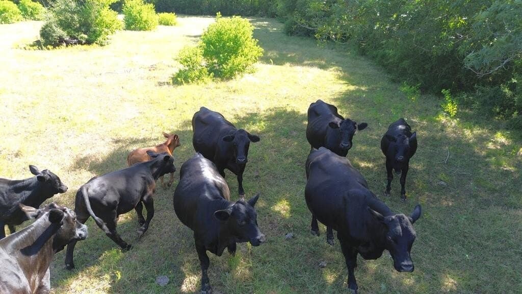 37.84 acres in Texas County