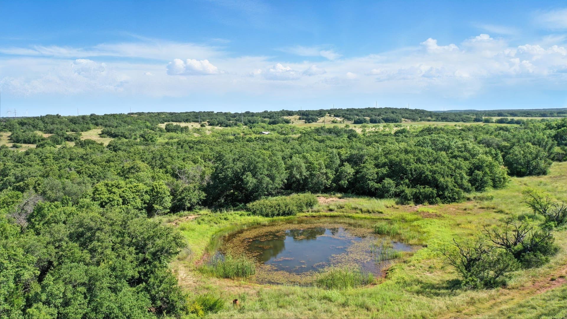 112.46 acres in Eastland County