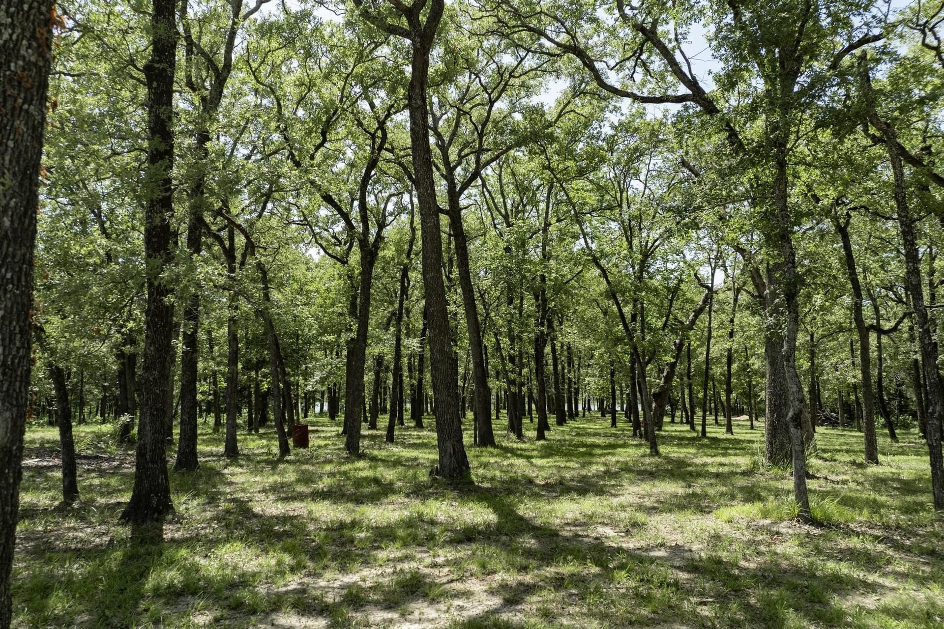 1 acres in Hunt County