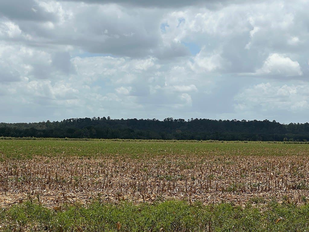 32.35 acres in Fayette County