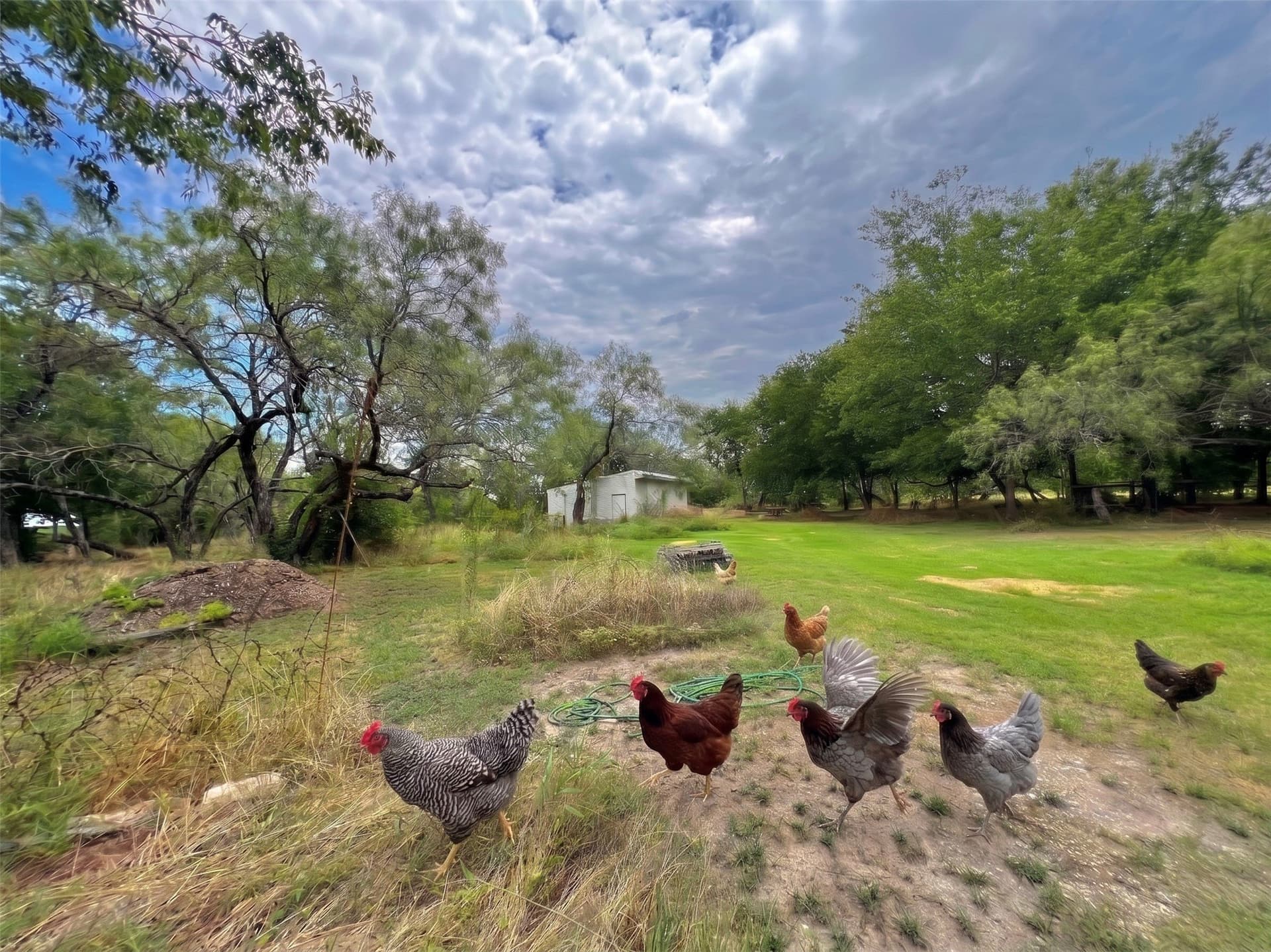 2.1 acres in Kaufman County